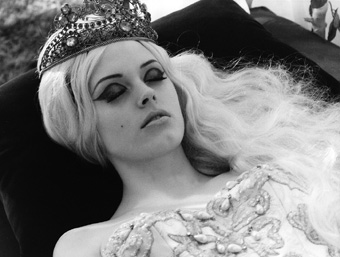Rose in Sleeping Beauties.